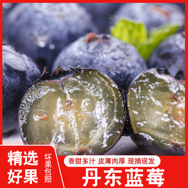白底上摆放着进口蓝莓