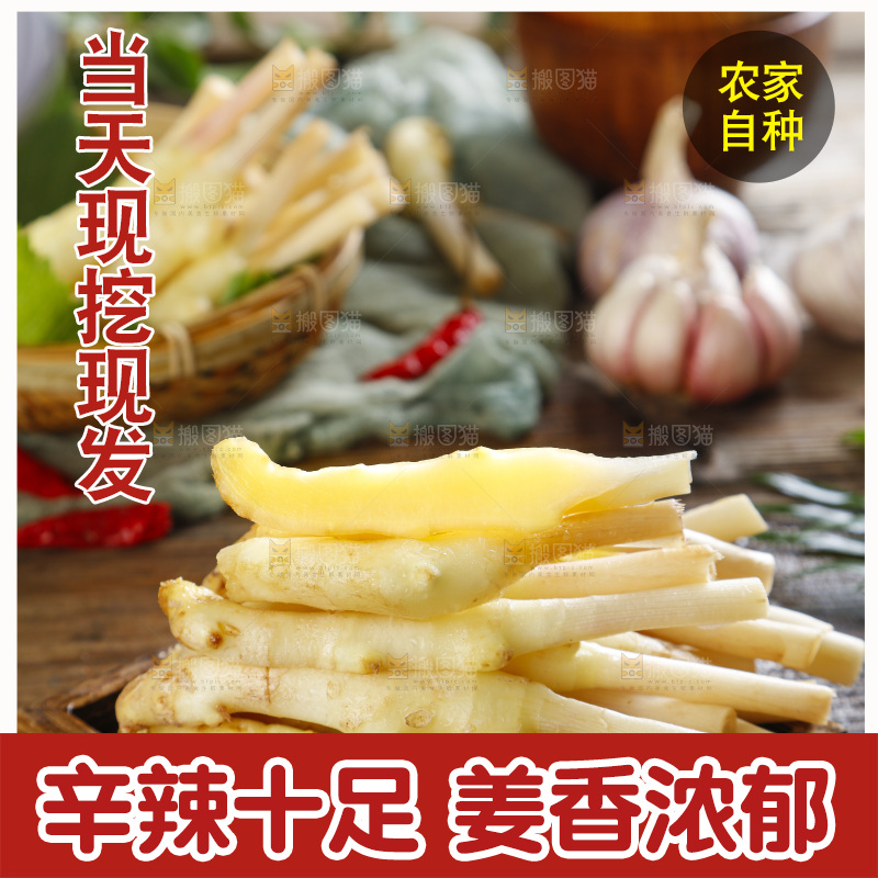 木底上的四川嫩仔姜