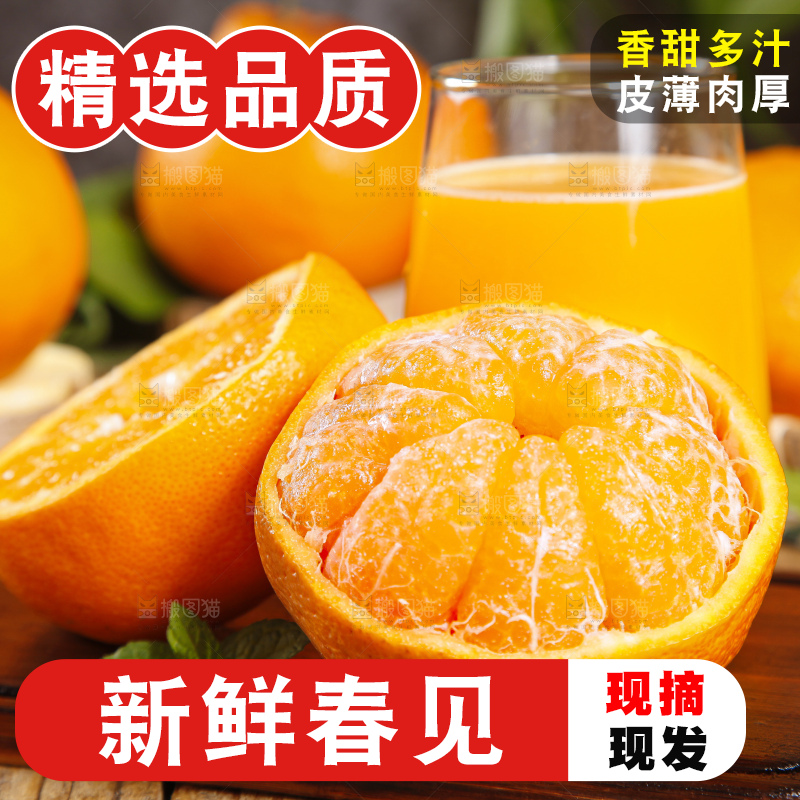 木板上的春见耙耙柑