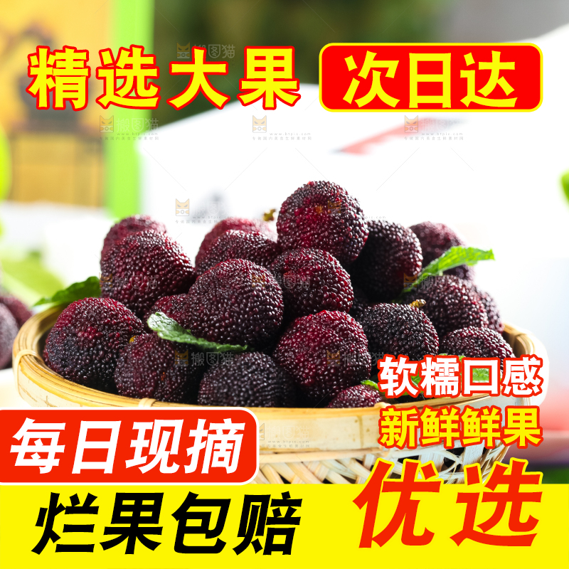 篮子里装着野生杨梅