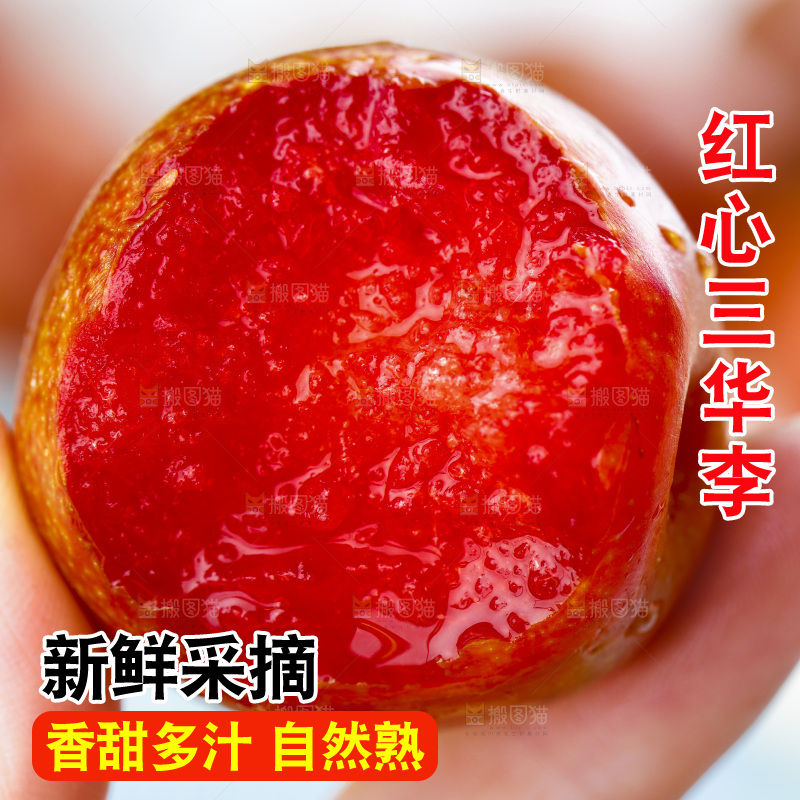 手里拿着钱排三华李