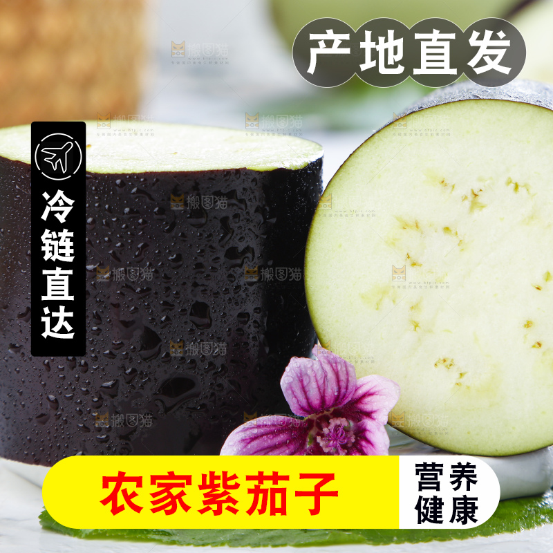 白底上摆放着紫茄子