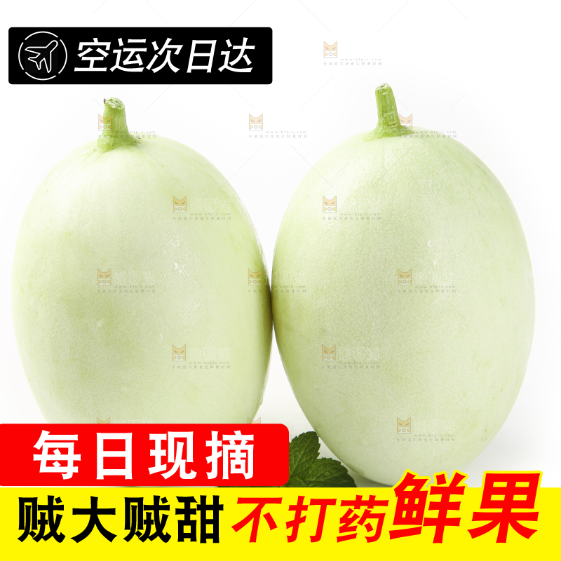白底上摆放着玉菇蜜瓜