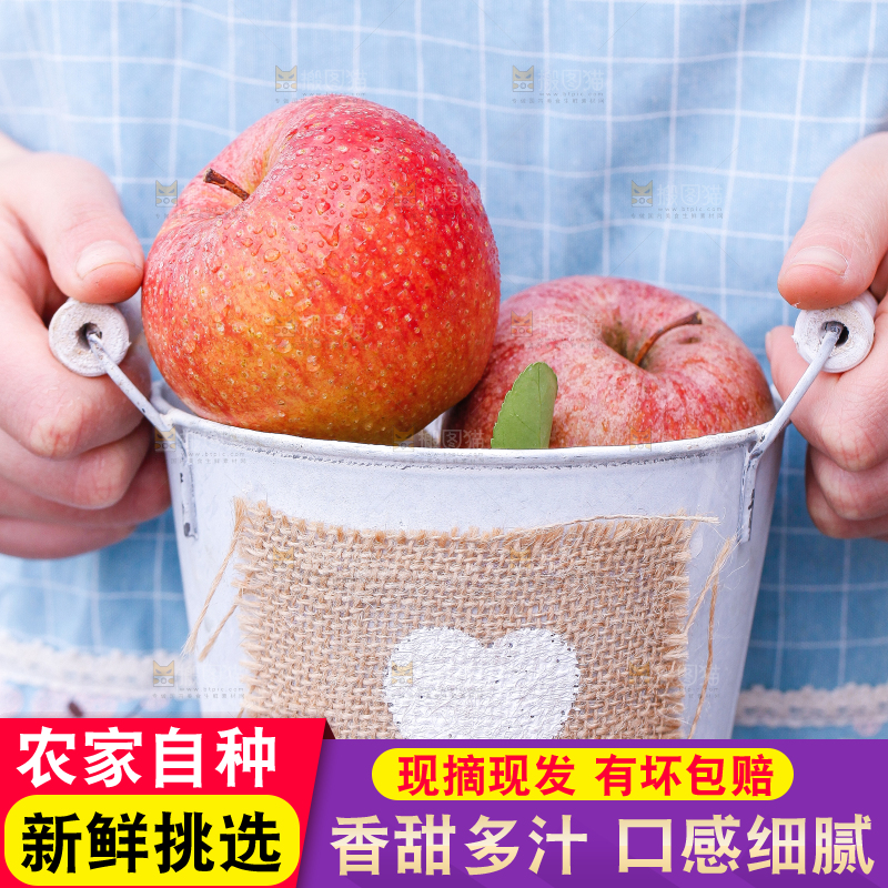 手里拿着秦冠苹果