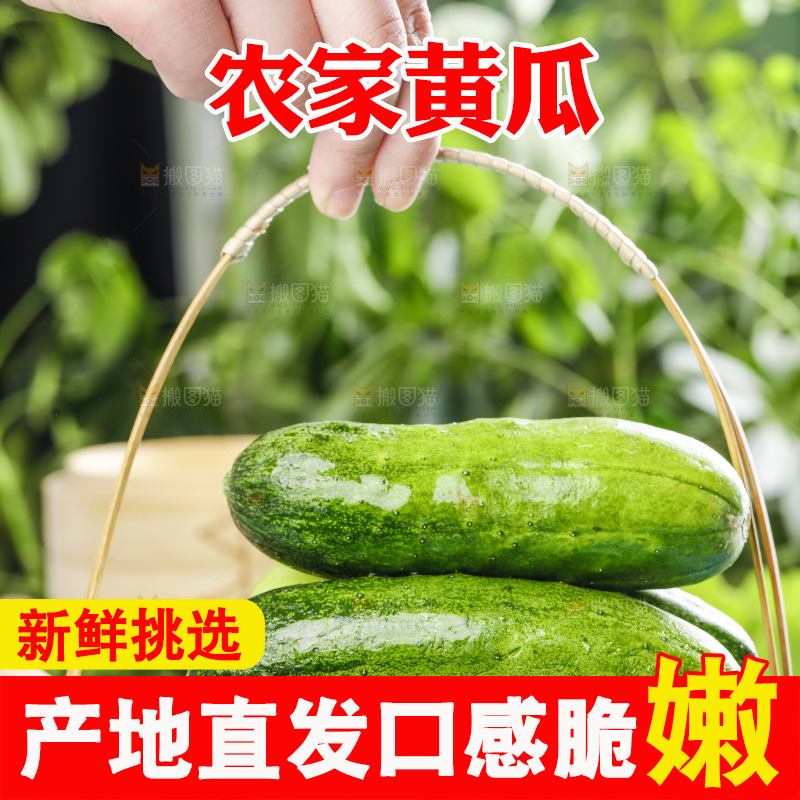 篮子里装着青瓜