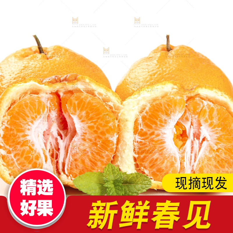 白底上放着一堆春见耙耙柑