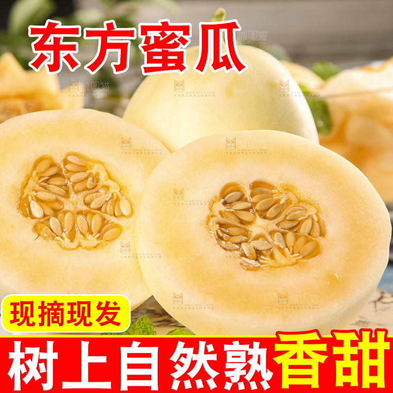 浅底上摆放着东方蜜甜瓜