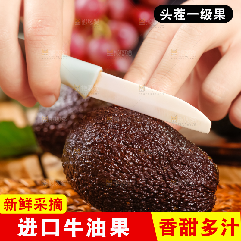 浅底上的巨无霸牛油果