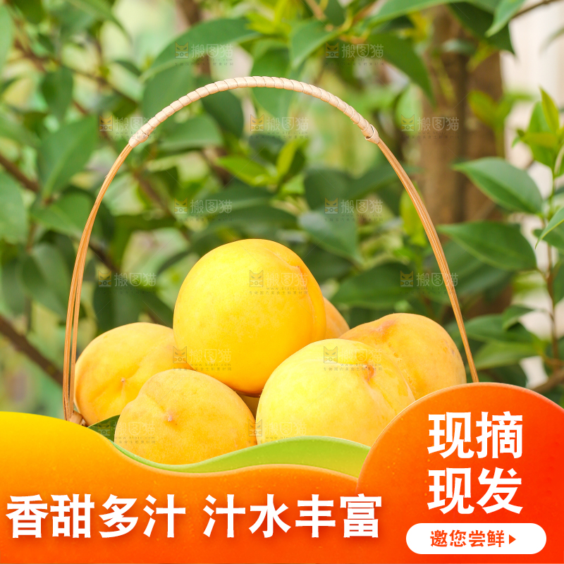 手里拿着黄肉水蜜桃