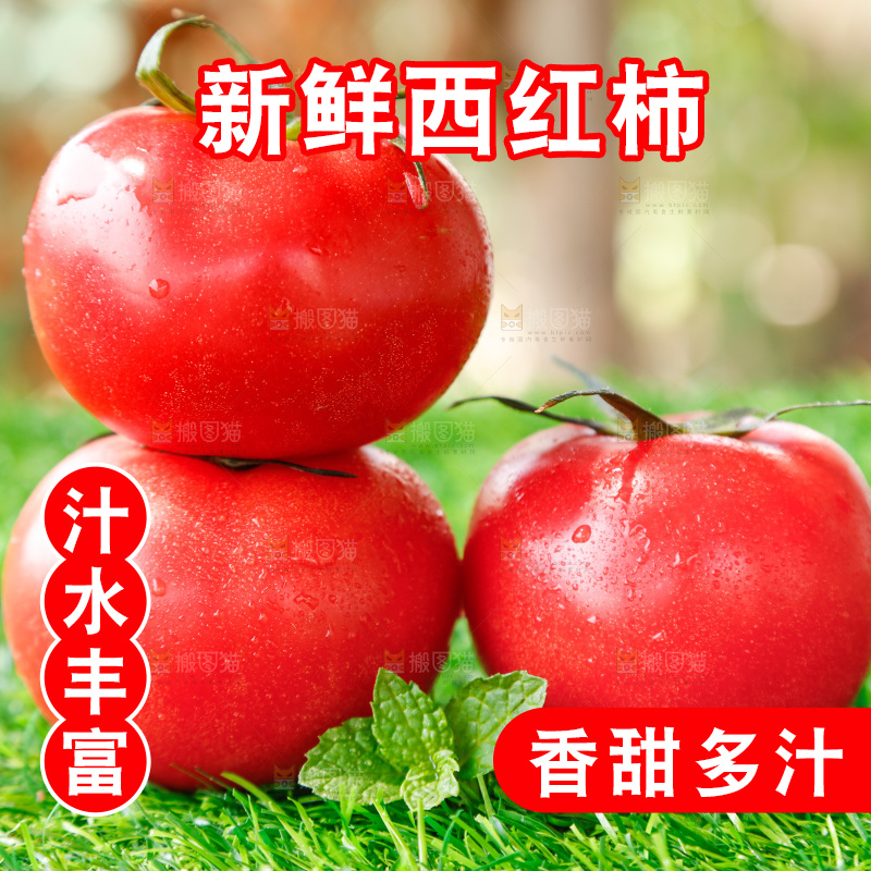 草地上的一堆新鲜西红柿
