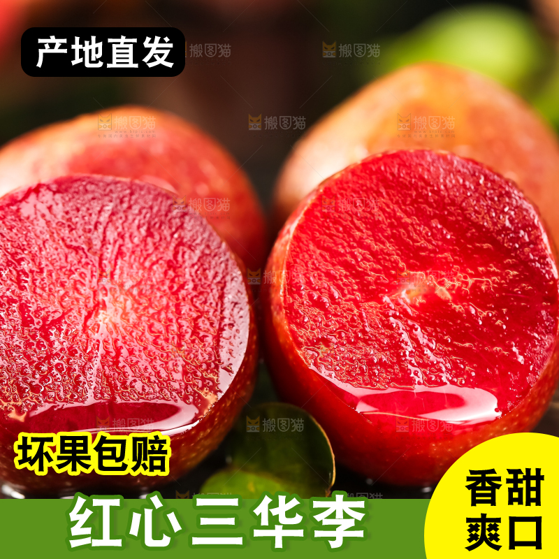 石板上放着钱排三华李