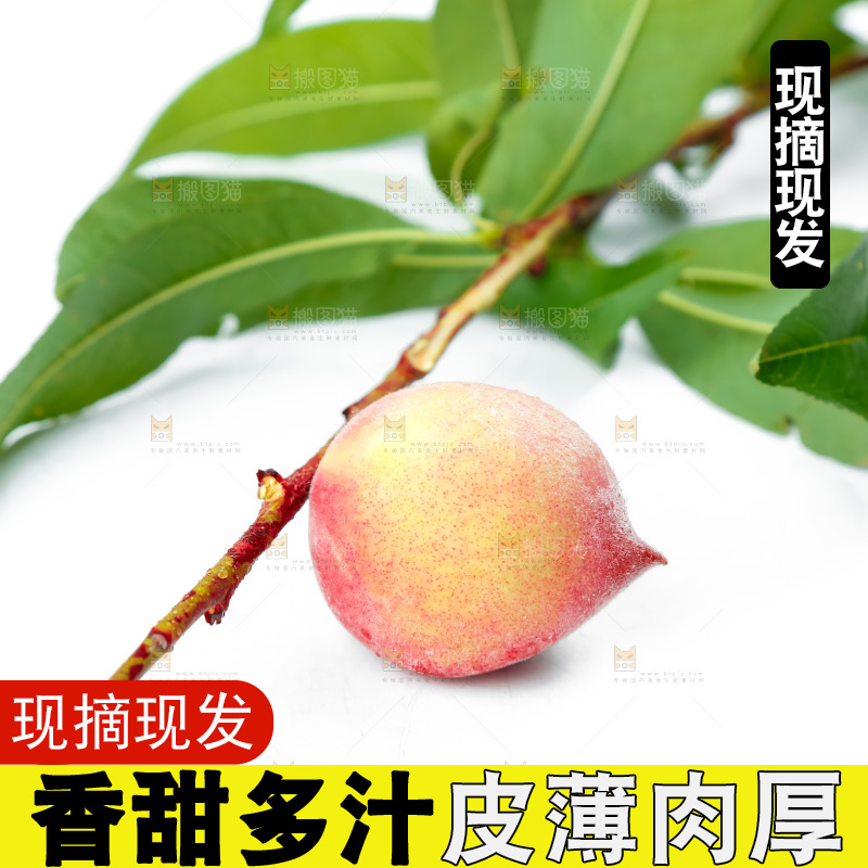 白底上摆放着甜桃子