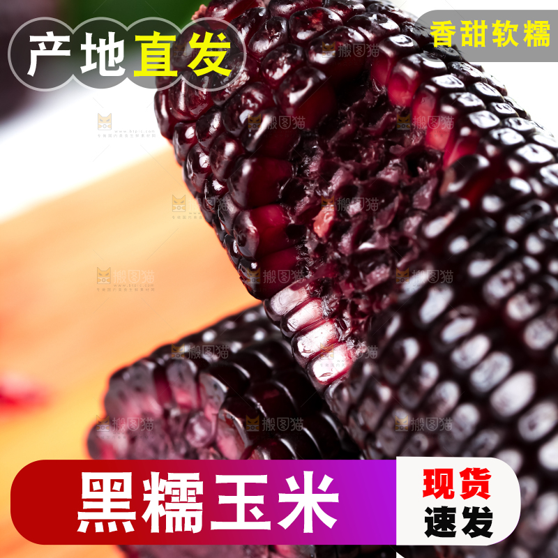 木底上放着山西黑玉米