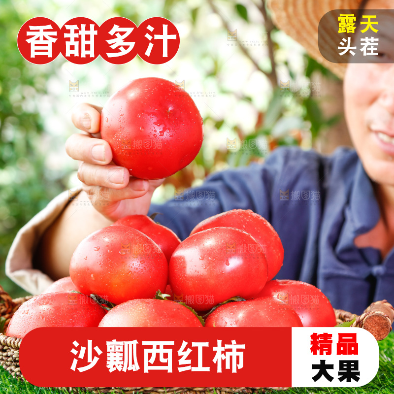农民手里端着一篮子番茄