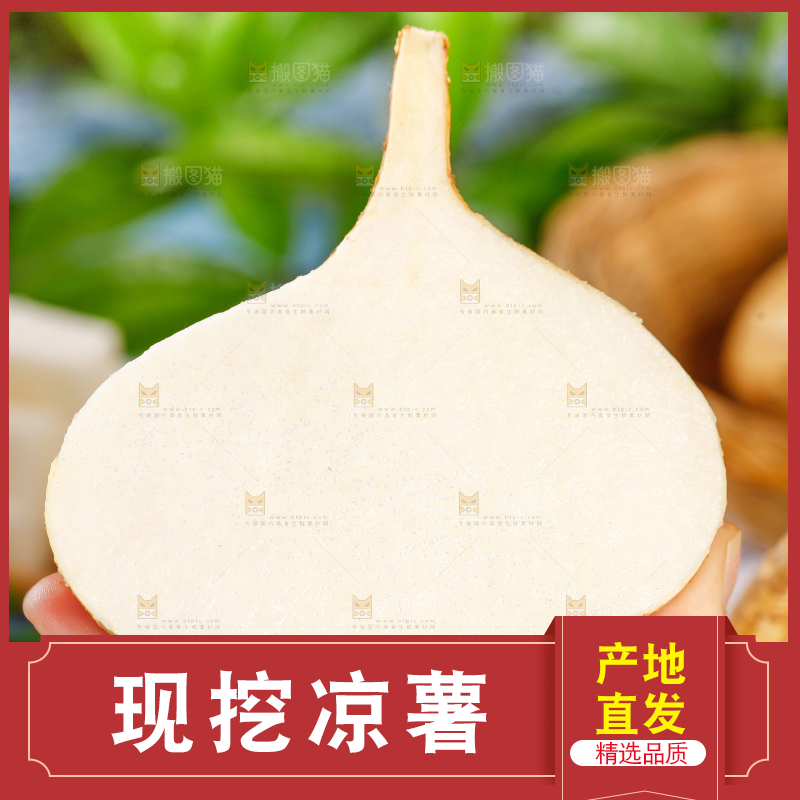 手里拿着凉薯