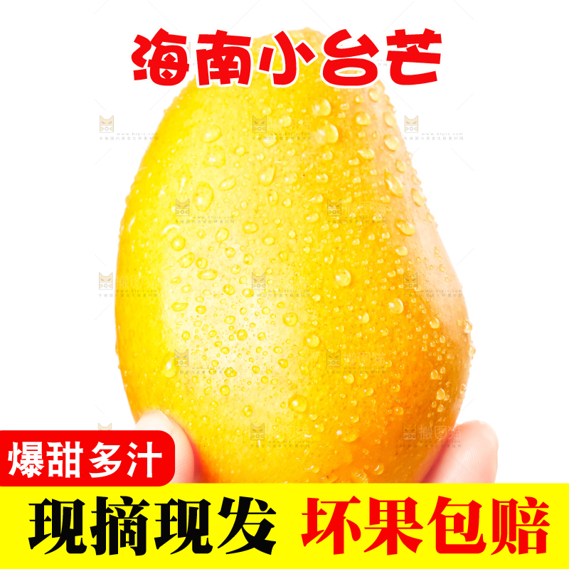 手里拿着台农芒