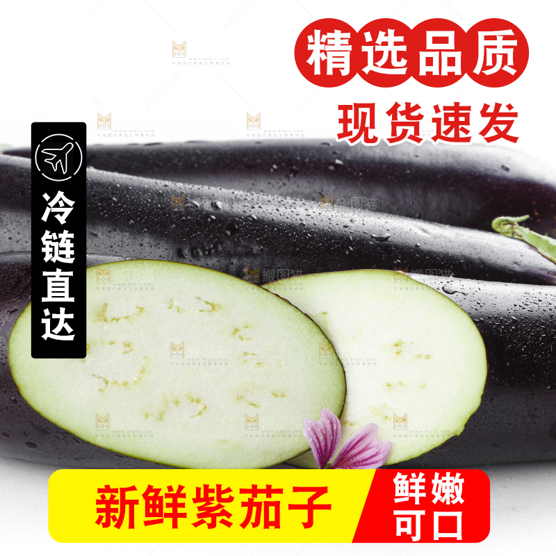 白底上摆放着紫茄子