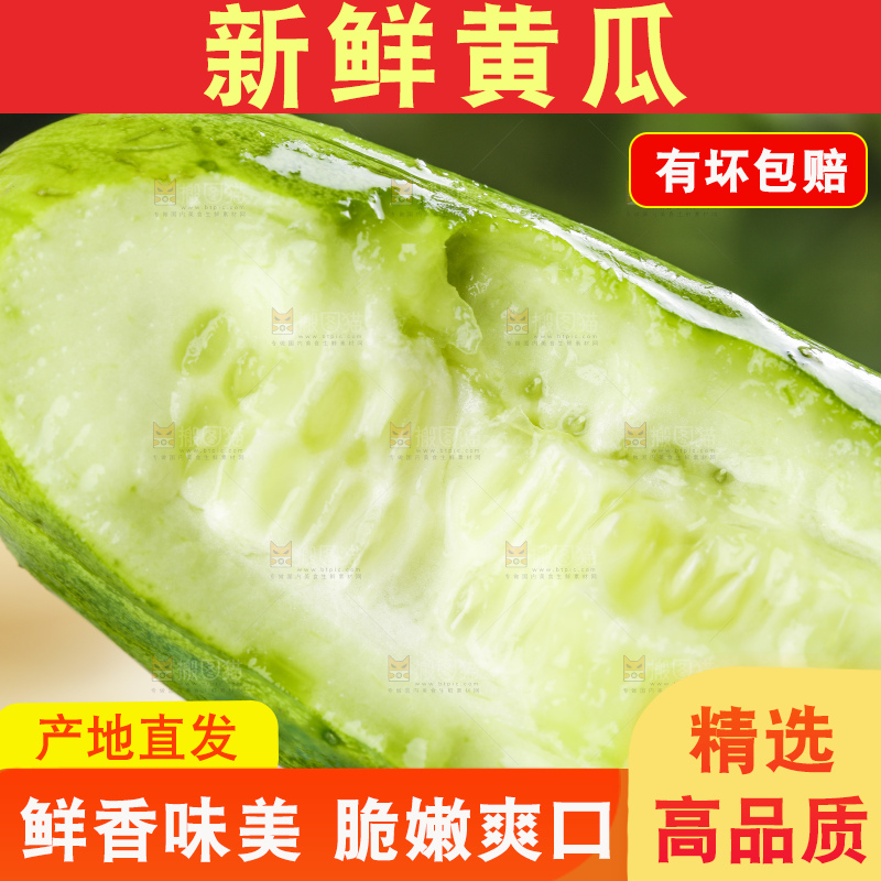 浅底上的嫩黄瓜