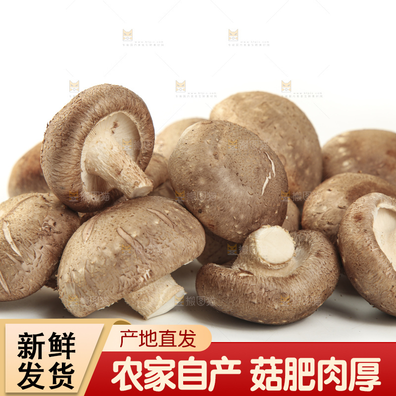白底上放着香菇