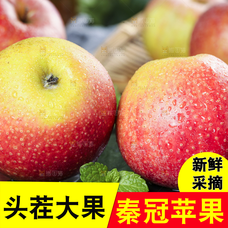 黑底上摆放着秦冠丑苹果