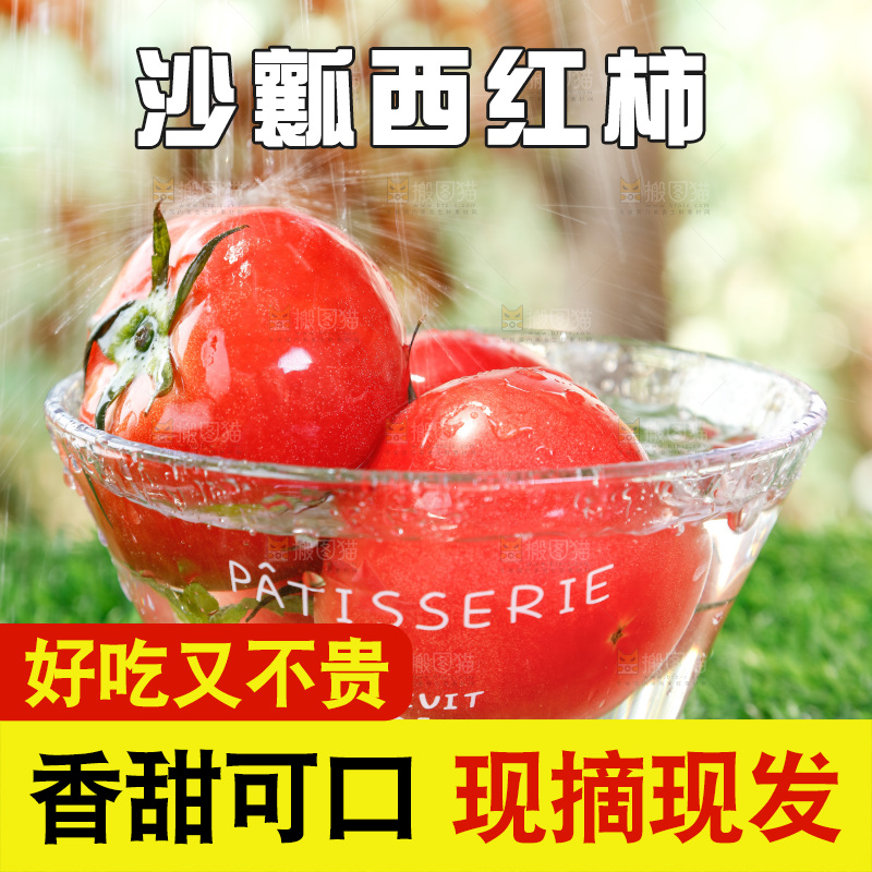 草地上的米易沙瓤番茄