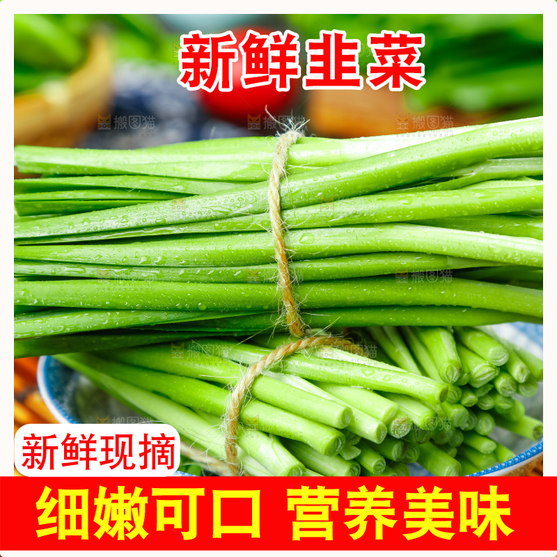 深底上摆放着山东韭菜