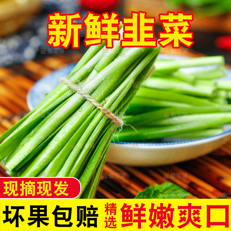 深底上摆放着山东韭菜