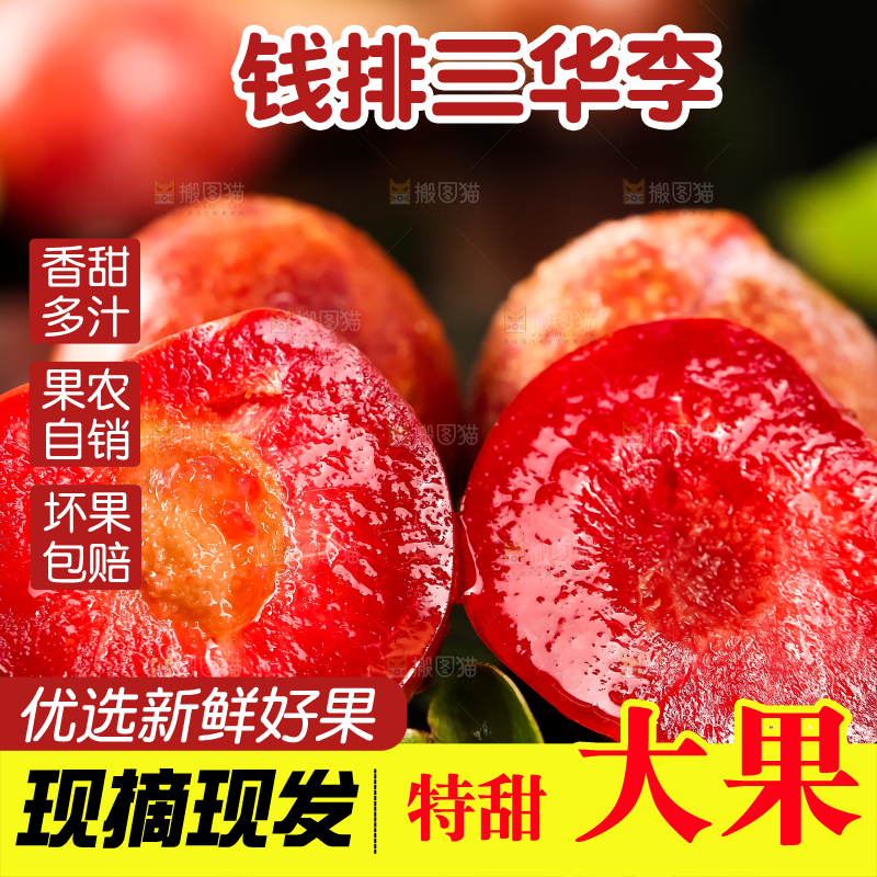 石板上放着钱排三华李