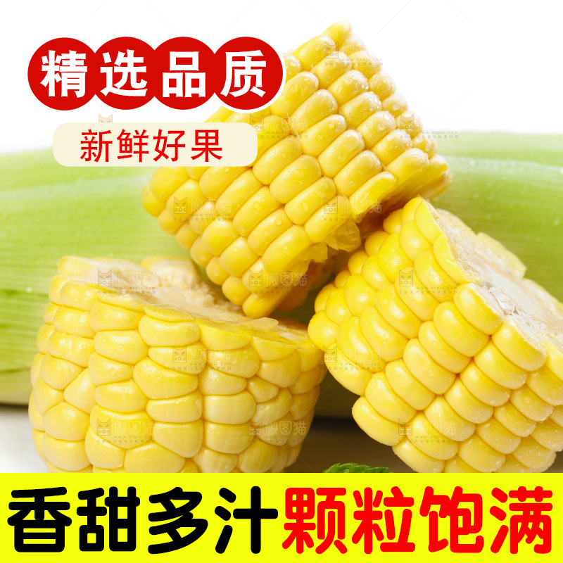 白底上放着新鲜玉米