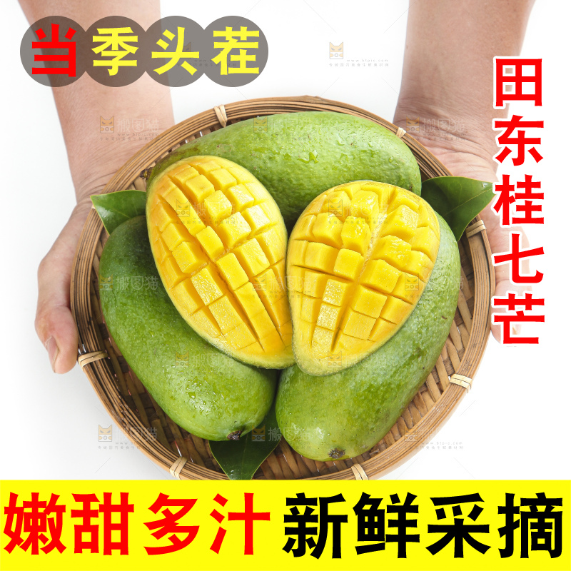 篮子里装着田东桂七芒
