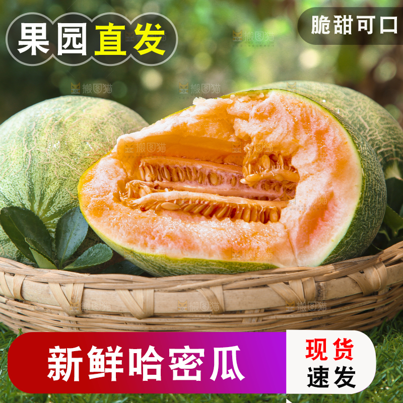 哈密瓜主图
