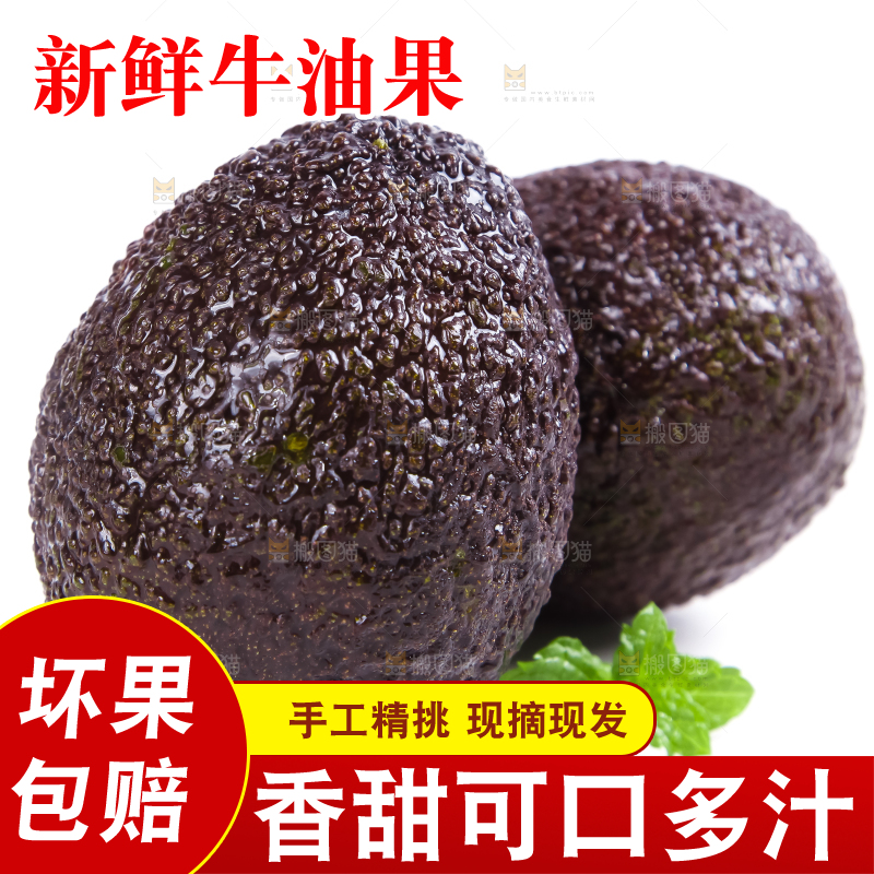 白底上的墨西哥牛油果