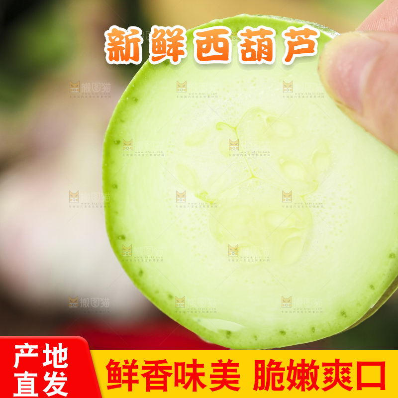 手里拿着茭瓜