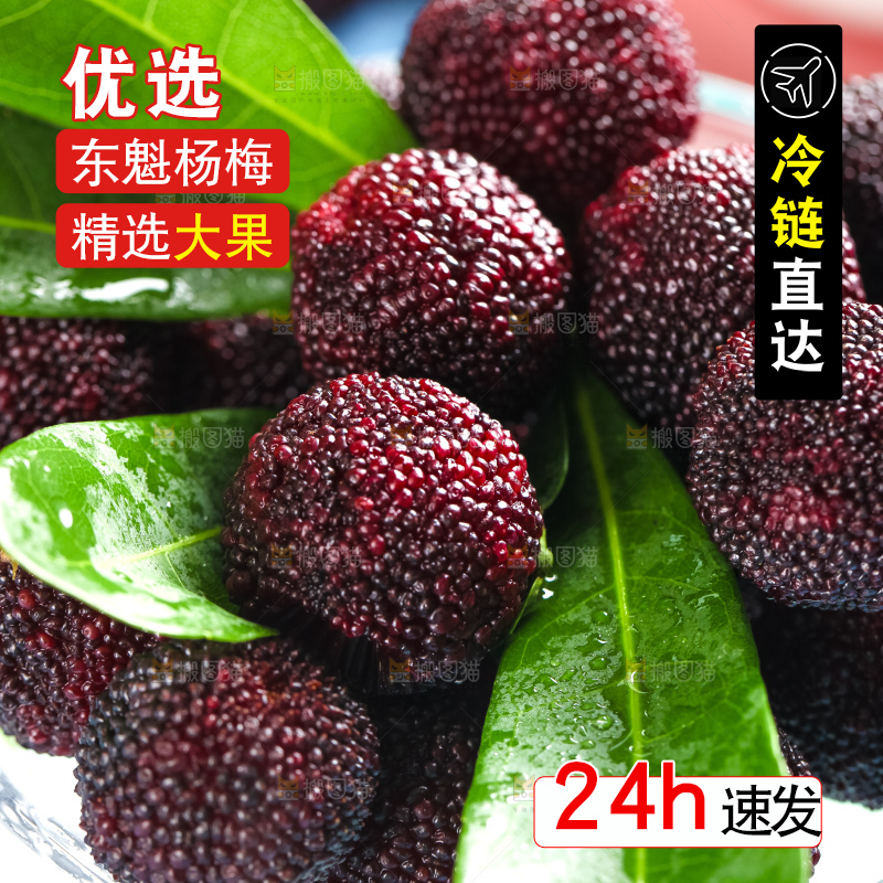 浅底上摆放着杨梅