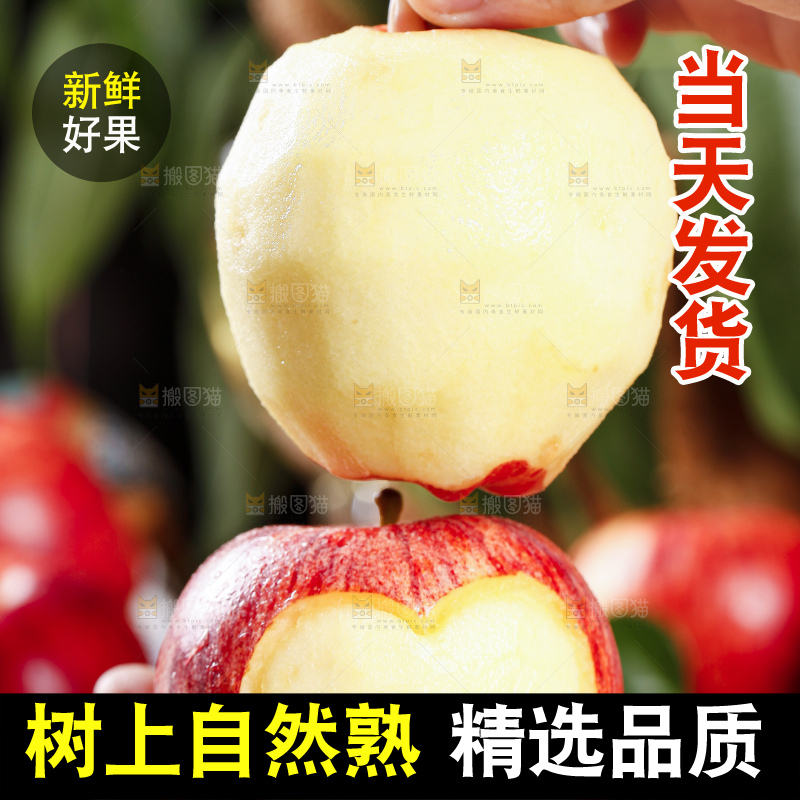 手里拿着秦冠苹果