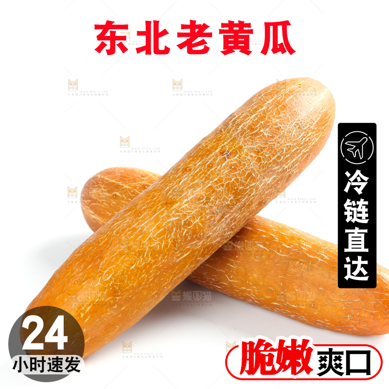 白底上的新鲜老黄瓜