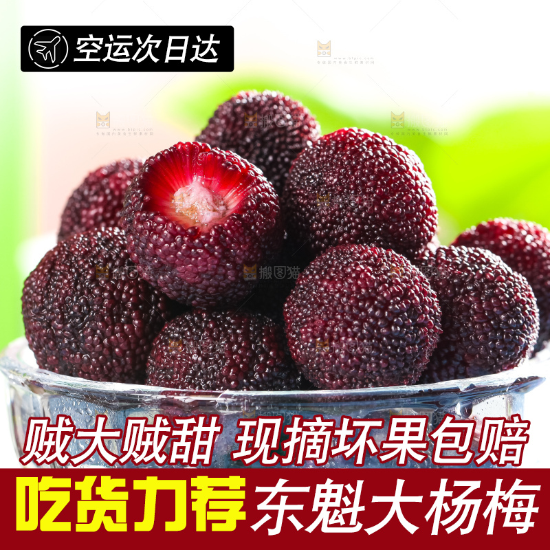 碟子里放着杨梅