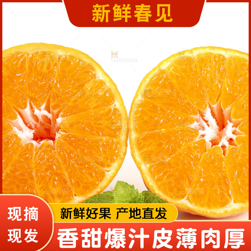 白底上放着一堆春见耙耙柑