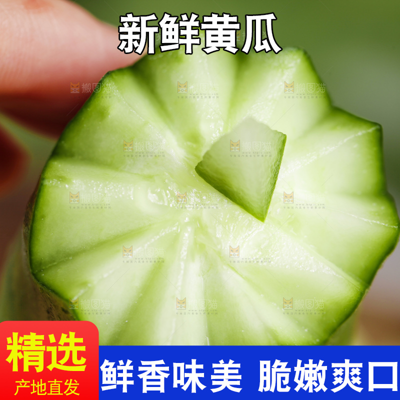手里拿着嫩黄瓜