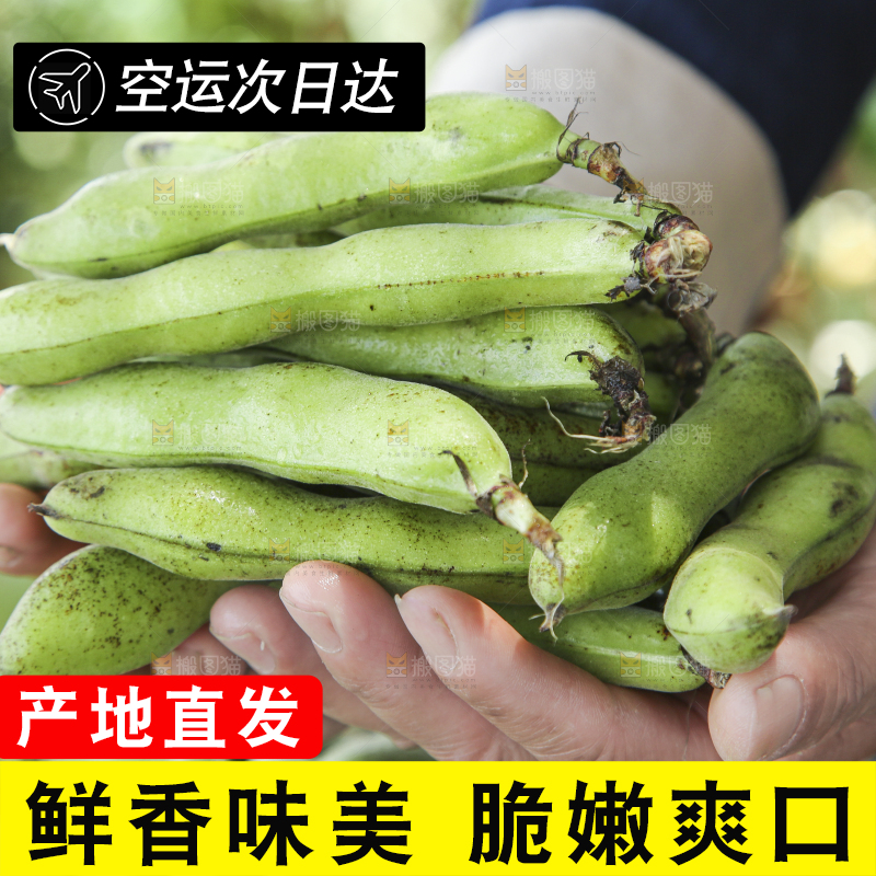 手里拿着生蚕豆