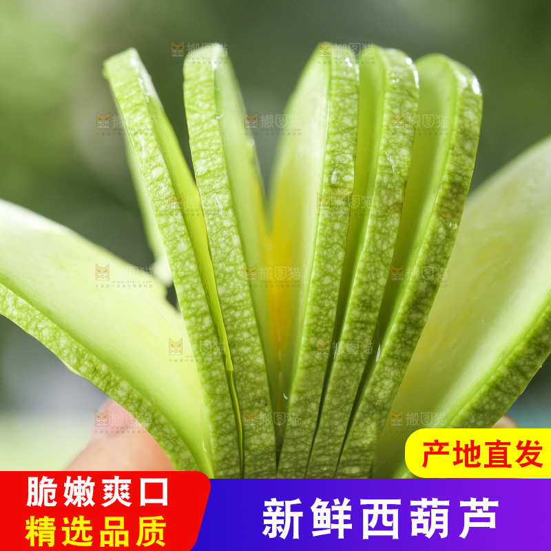 手里拿着茭瓜