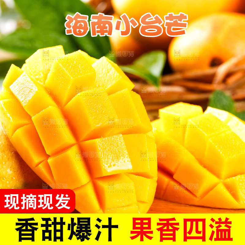 木底上摆放着海南台农芒果