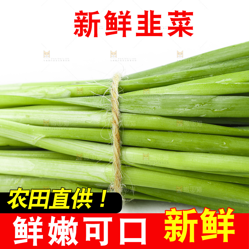 白底上摆放着一把嫩韭菜