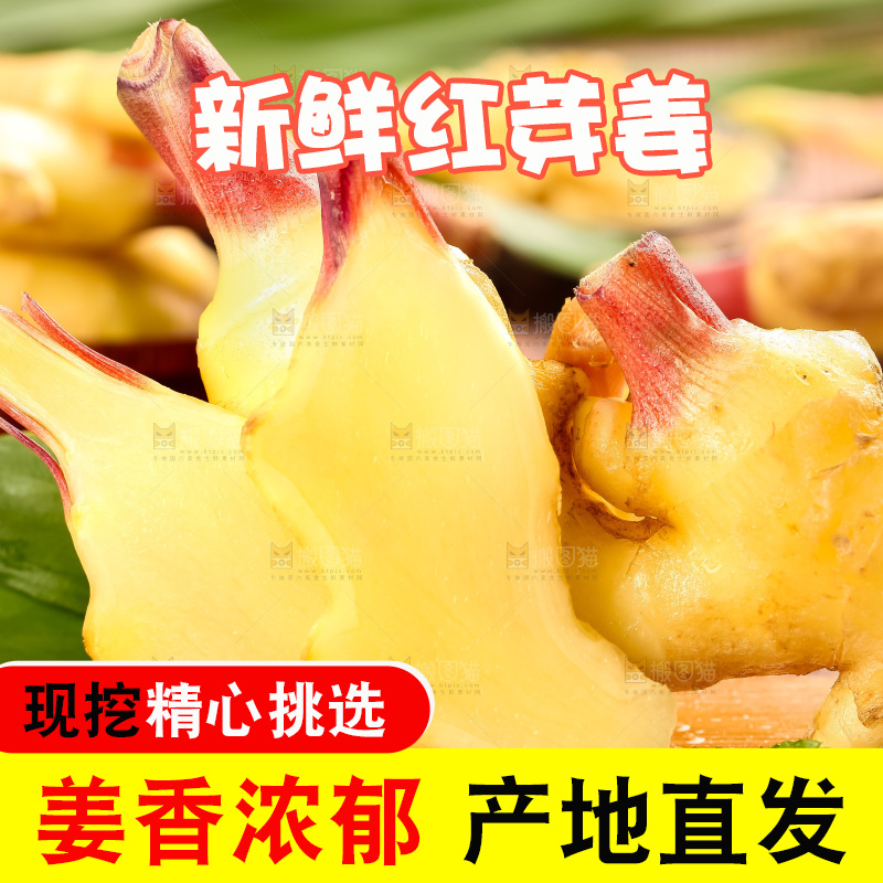 木板上的山东红芽生姜