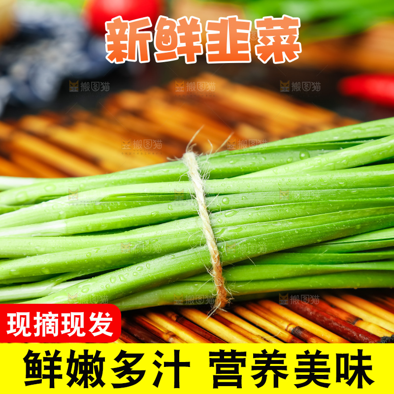 深底上摆放着山东韭菜