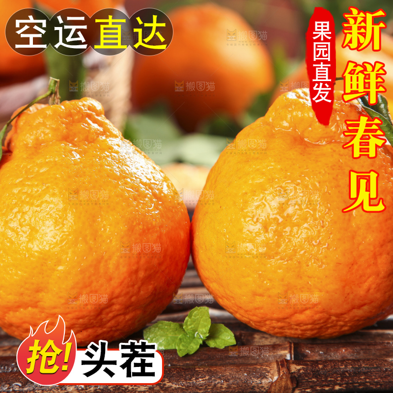 木板上的春见耙耙柑