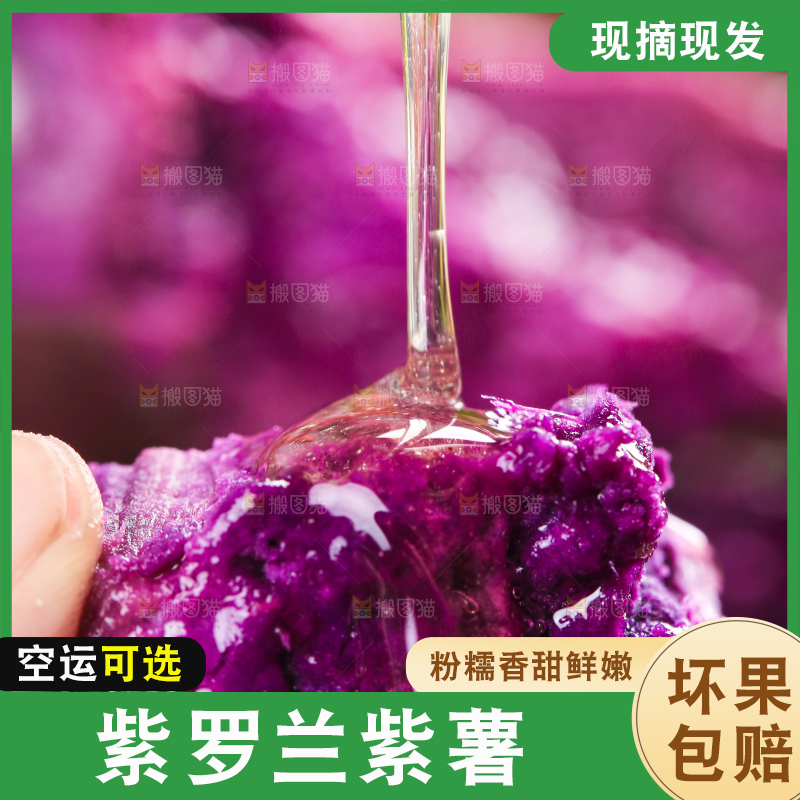 手上拿着紫番薯
