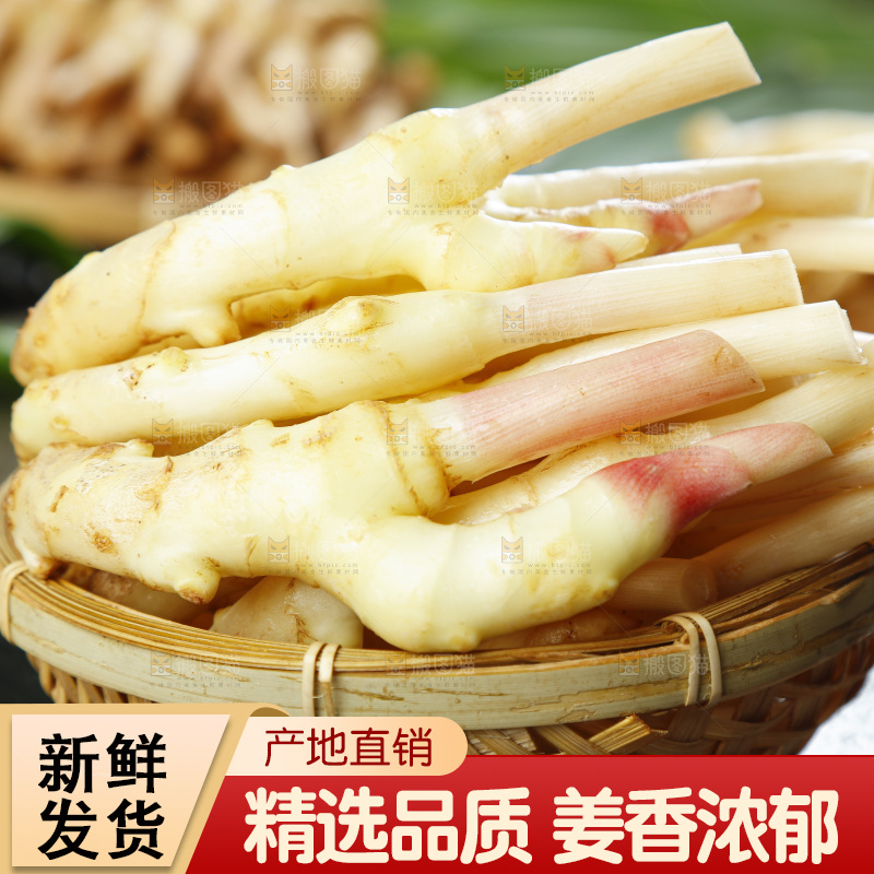 篮子里装着新鲜嫩姜