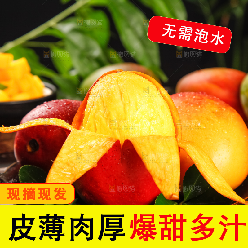 盘里装着爱文芒