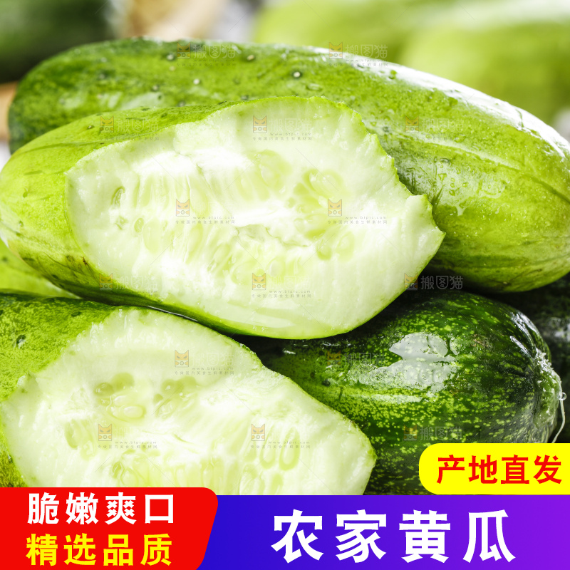 木底上摆放着黄瓜